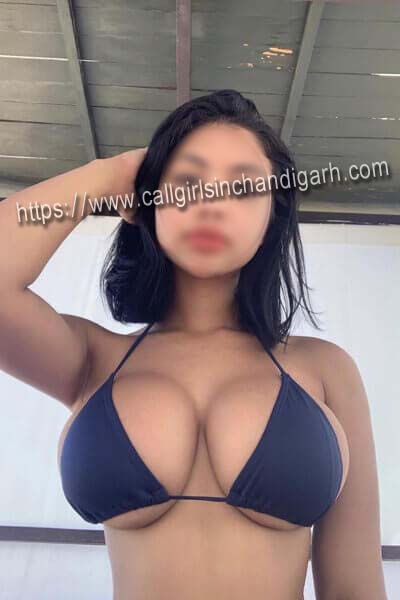 Ludhiana Call Girls Ayur